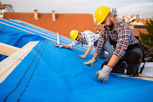 Best Emergency Roof Repair Services  in Pine City, MN